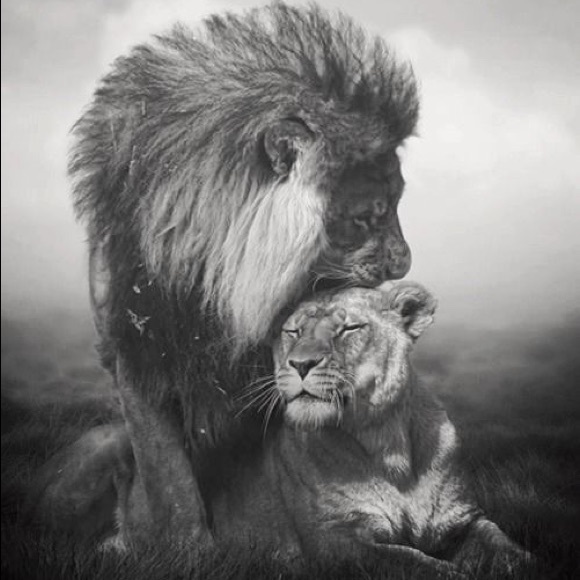 Meet your Posher, Danielle - Picture 1 of 1